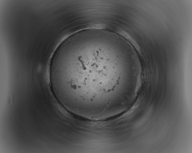 X0000093111083200710031312