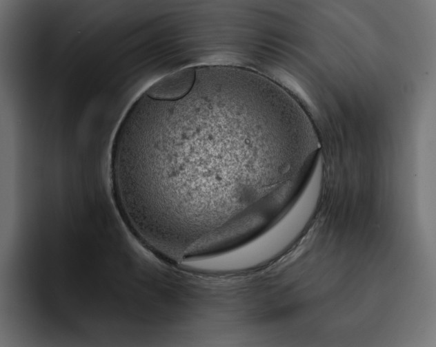X0000093111087200710031312