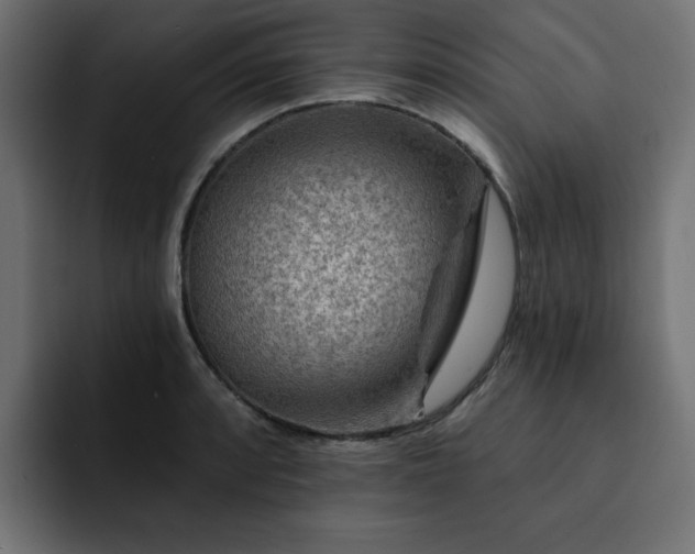 X0000093111088200710031312