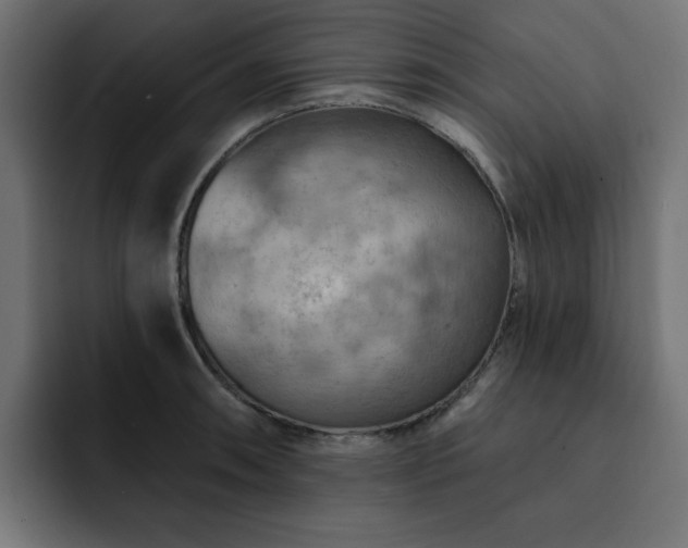 X0000093111090200710031311