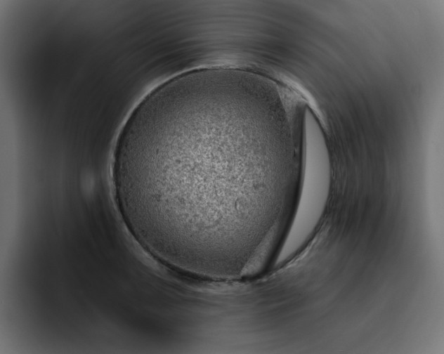 X0000093111091200710031311