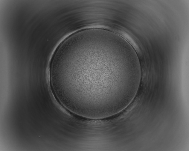 X0000093111092200710031311