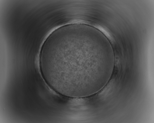 X0000093111094200710031311