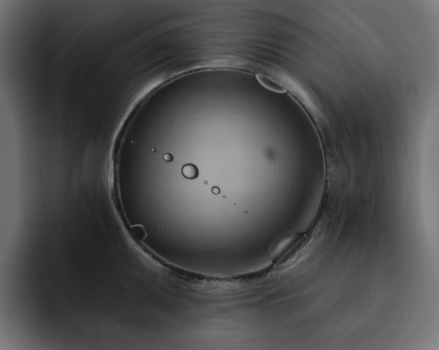 X0000093111095200710031311