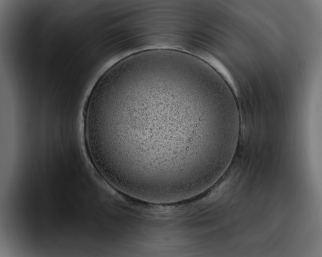 X0000093111096200710031311