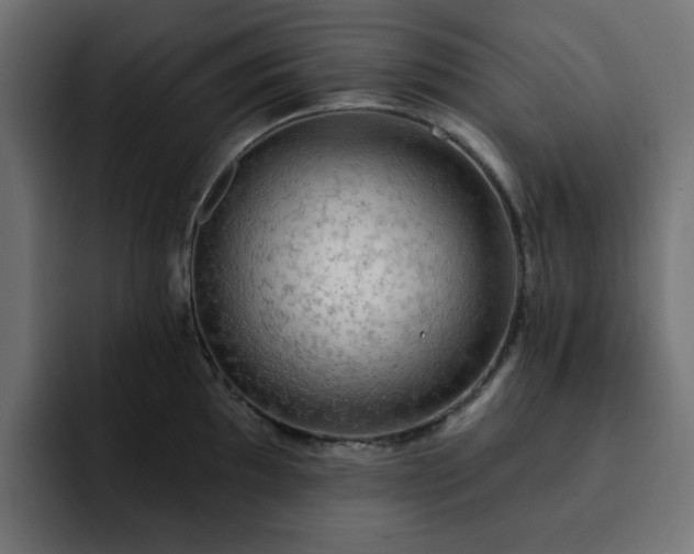 X0000093111097200710031311