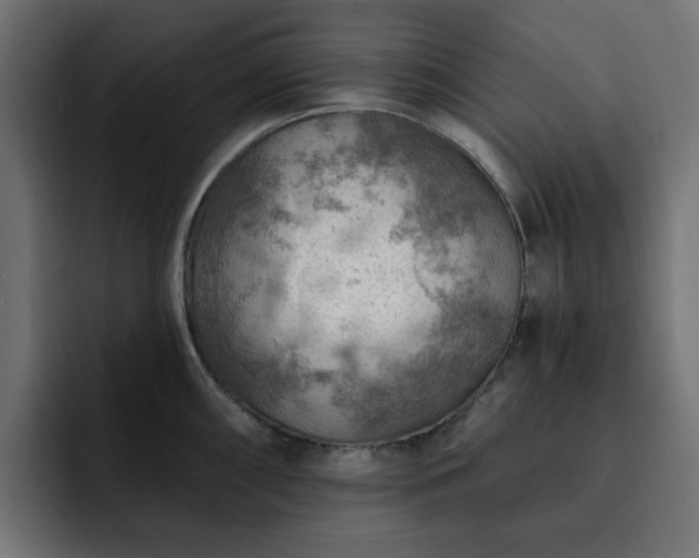 X0000093111098200710031311