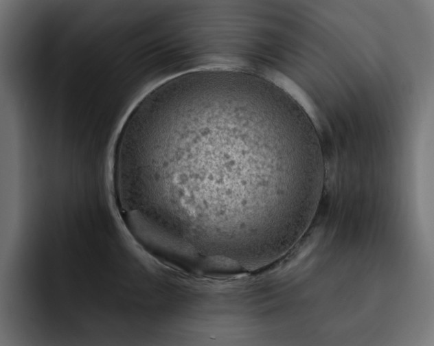 X0000093111099200710031311