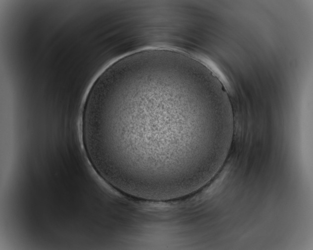 X0000093111100200710031311