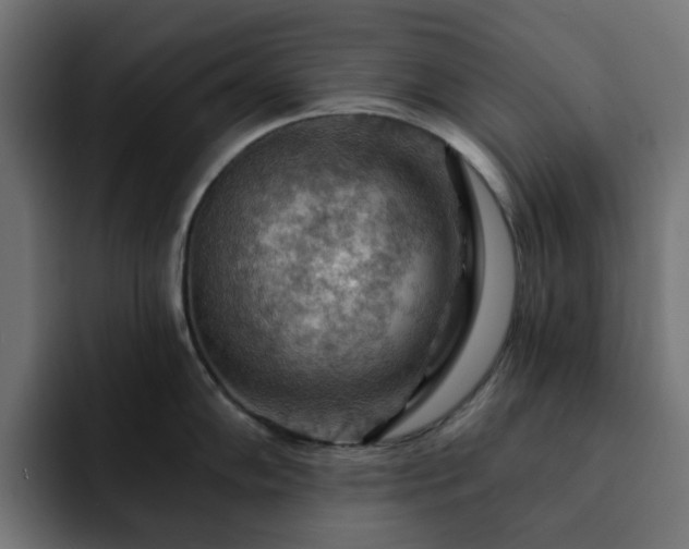 X0000093111102200710031311
