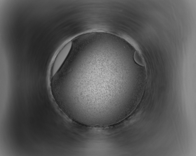 X0000093111104200710031311