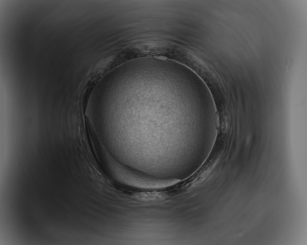 X0000093111108200710031311