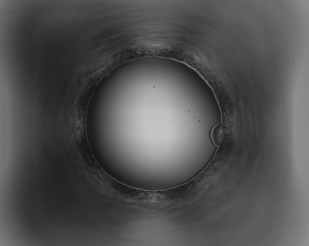 X0000093111109200710031311
