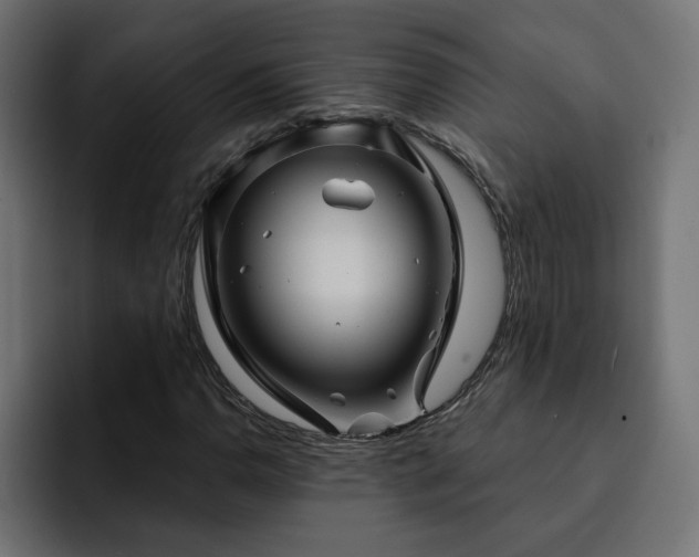 X0000093111110200710031311