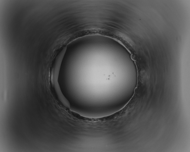 X0000093111111200710031311