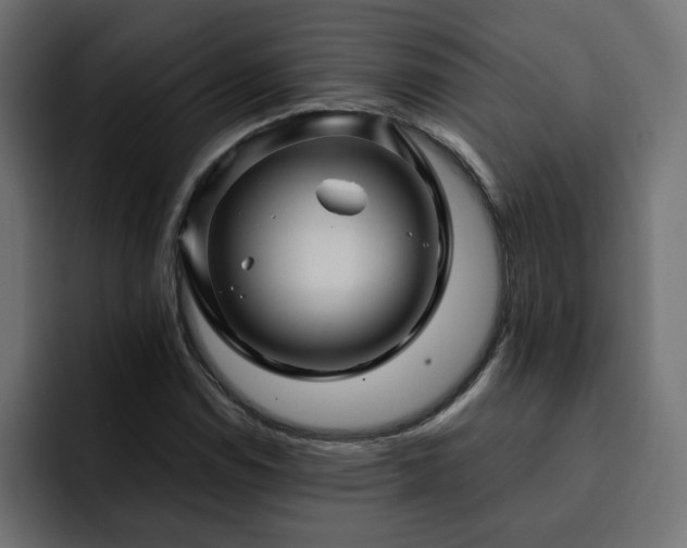 X0000093111114200710031311
