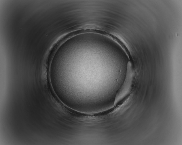 X0000093111115200710031311