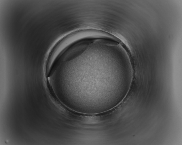 X0000093111120200710031311
