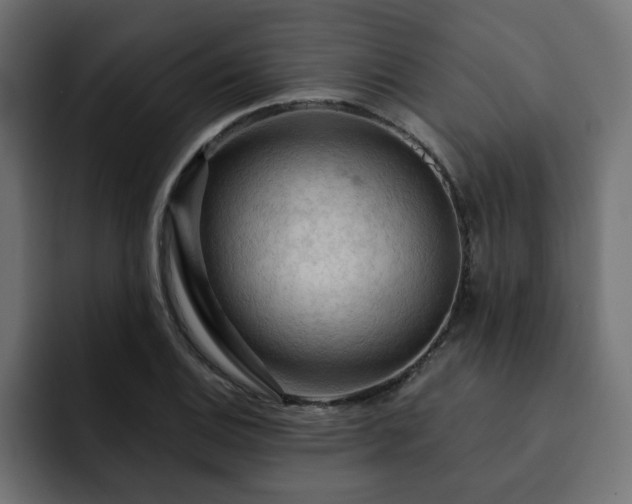 X0000093111124200710031311