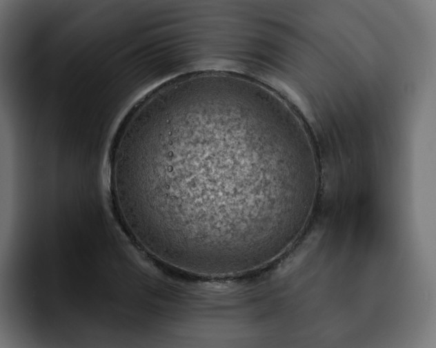 X0000093111125200710031311