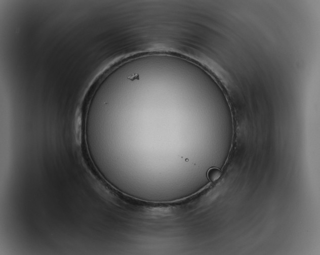 X0000093111126200710031311