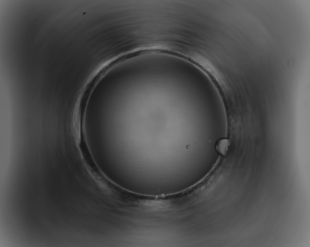 X0000093111127200710031311