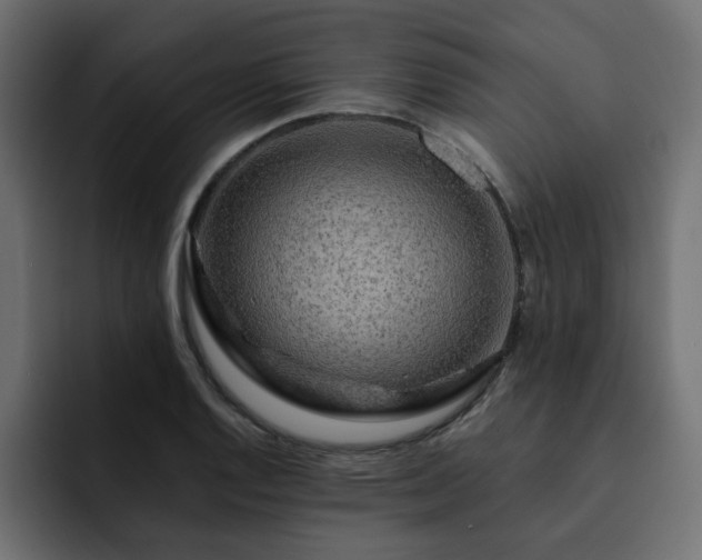 X0000093111128200710031311