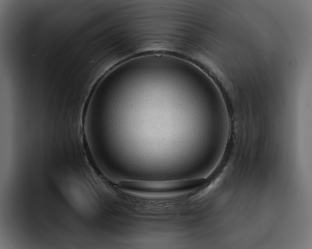 X0000093111129200710031311