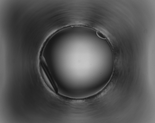 X0000093111135200710031311