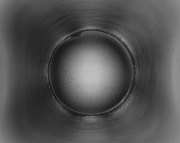 X0000093111137200710031311