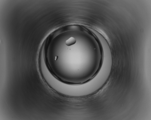 X0000093111138200710031311