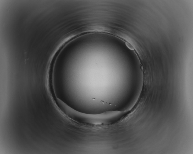 X0000093111139200710031311
