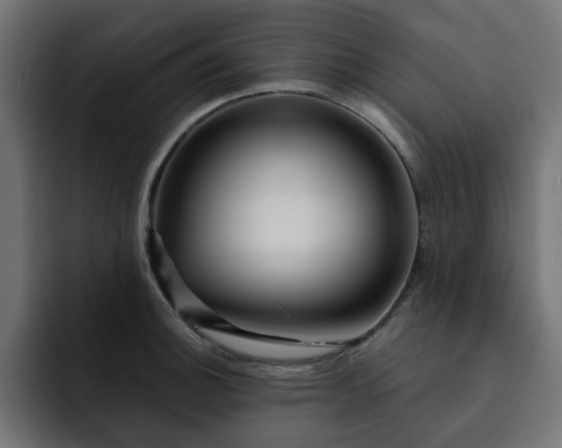 X0000093111140200710031311