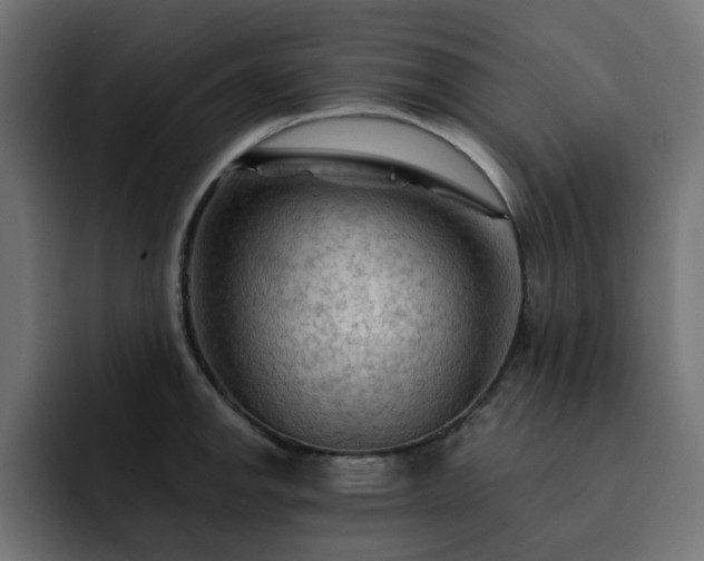 X0000093111142200710031311