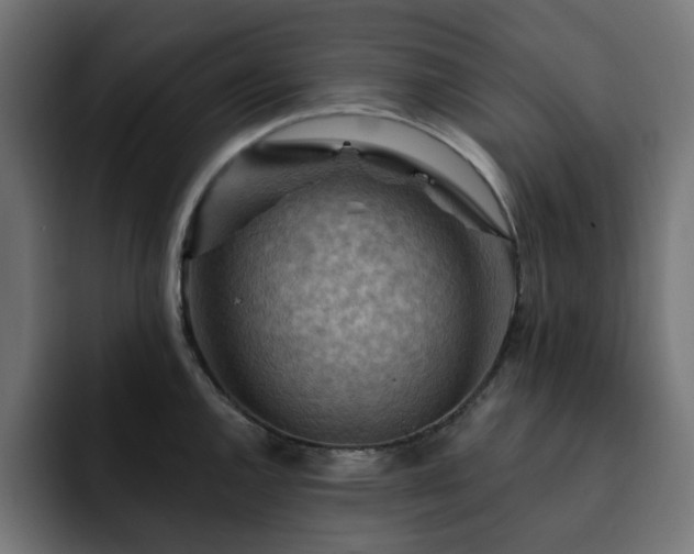 X0000093111144200710031311