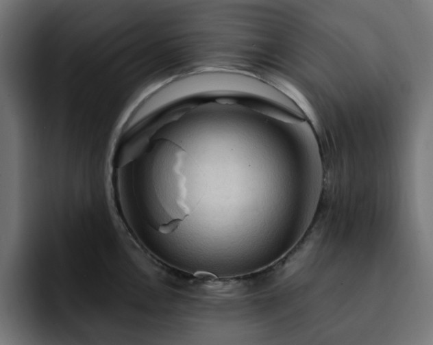X0000093111146200710031311