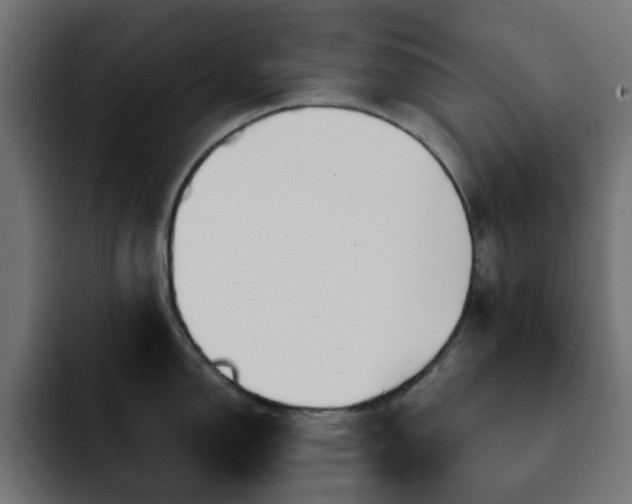 X0000093111150200710031311