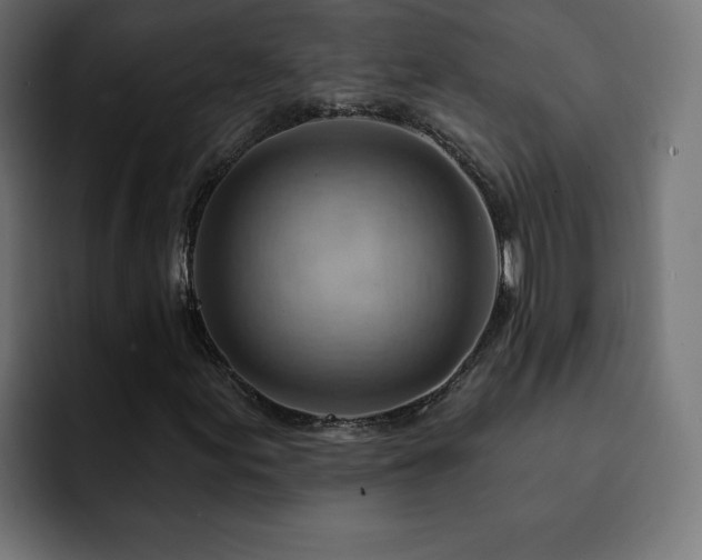 X0000093111155200710031311