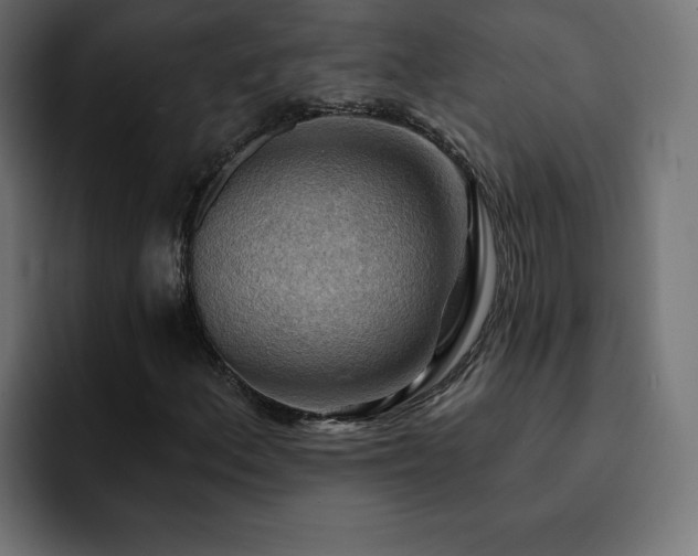 X0000093111156200710031311