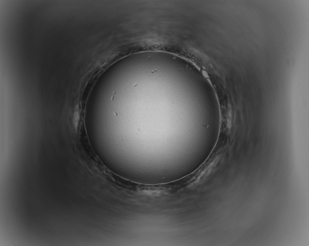 X0000093111157200710031311