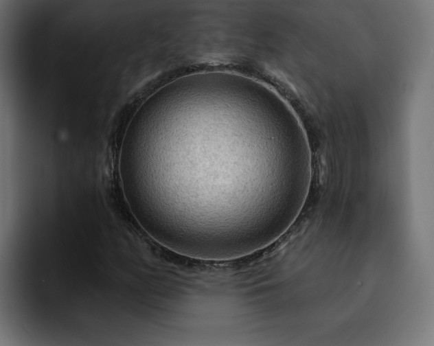 X0000093111158200710031311