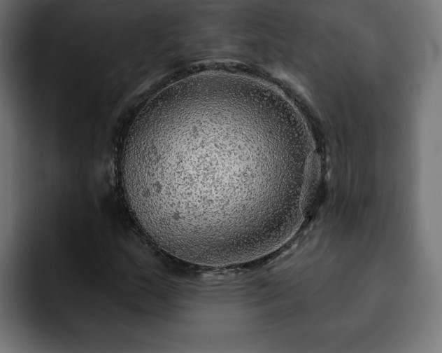 X0000093111159200710031311