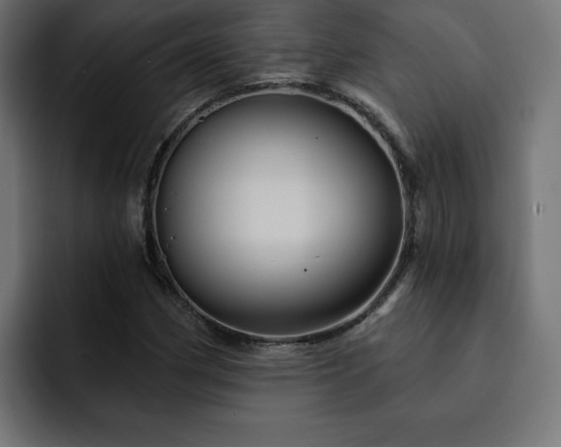 X0000093111162200710031311