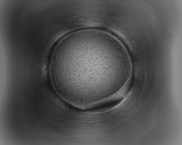 X0000093111163200710031311