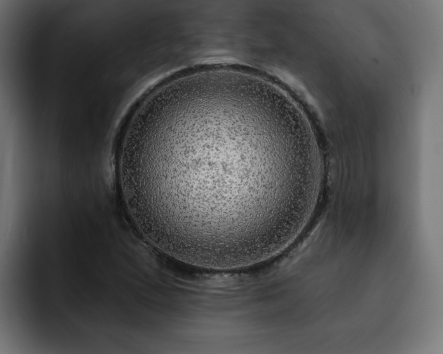 X0000093111167200710031311