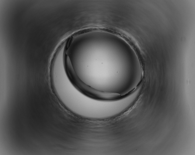 X0000093111168200710031311