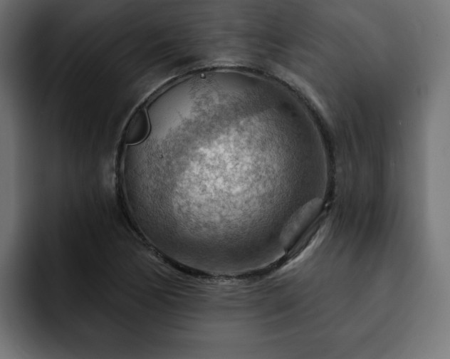 X0000093111170200710031311