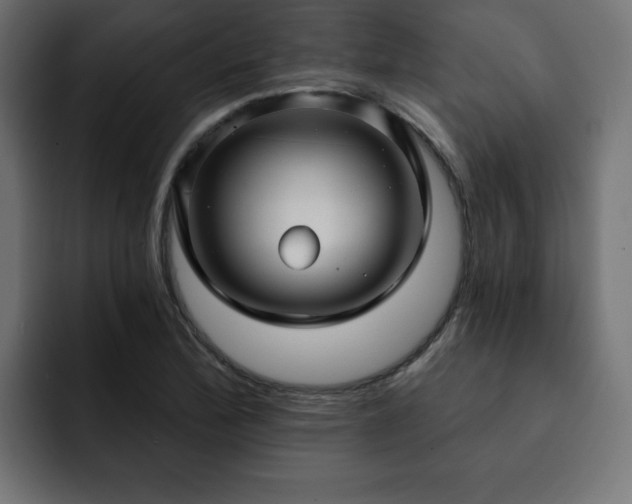 X0000093111172200710031311