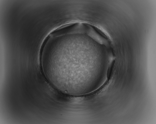 X0000093111173200710031311