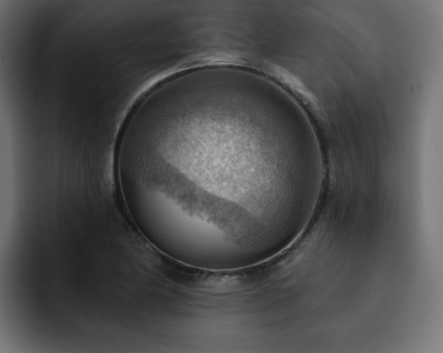 X0000093111174200710031311